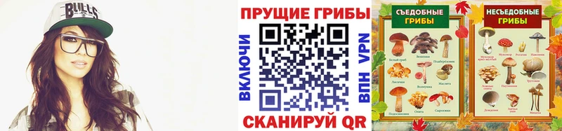 закладки  Кукмор  Псилоцибиновые грибы прущие грибы 